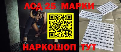 крисы Краснознаменск