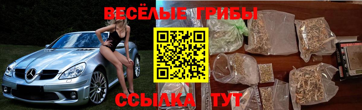 Псилоцибиновые грибы GOLDEN TEACHER  Вход с VPN  Дубна 